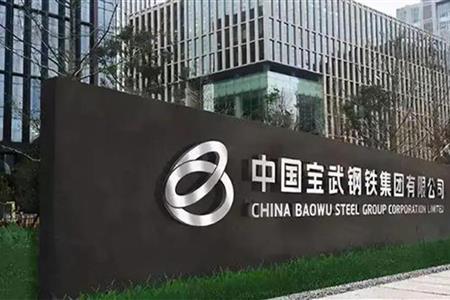 中国宝武钢铁集团有限公司
